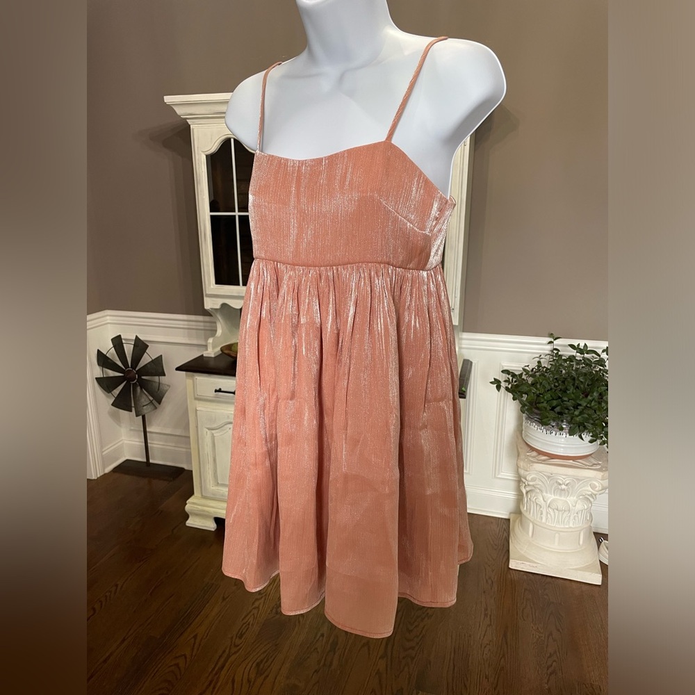 Lovers + Friends Formal Cocktail Mini Dress Dusty Rose W/ Shimmer XS Stunning!